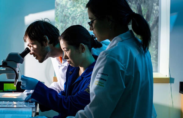 students looking through microscope (c) UCR/Stan Lim