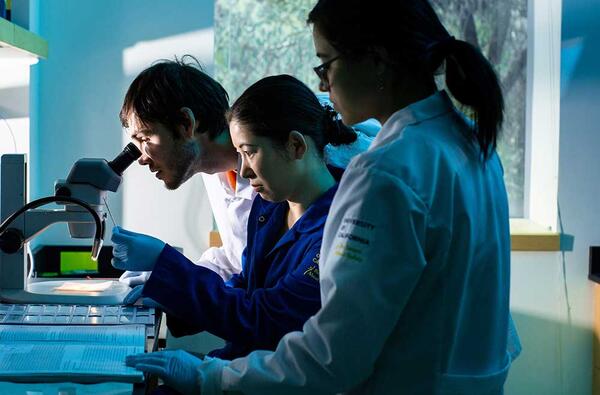 students looking through microscope (c) UCR/Stan Lim
